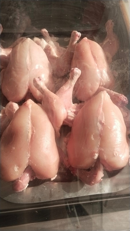 Fresh Farm Chicken Cuts