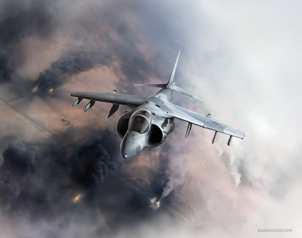 Desert-Harrier1-dev.jpg
