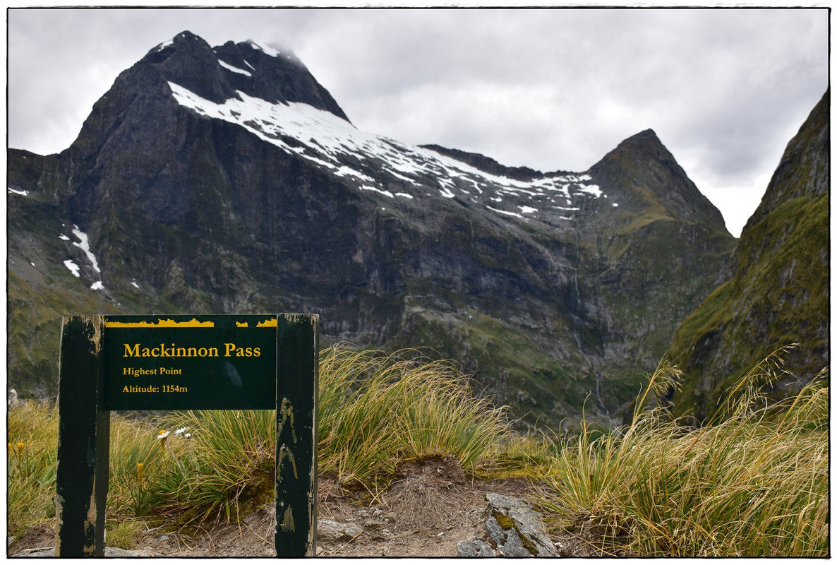 Fiordland NP: Milford Track (enero 2023) - Escapadas y rutas por la Nueva Zelanda menos conocida (42)