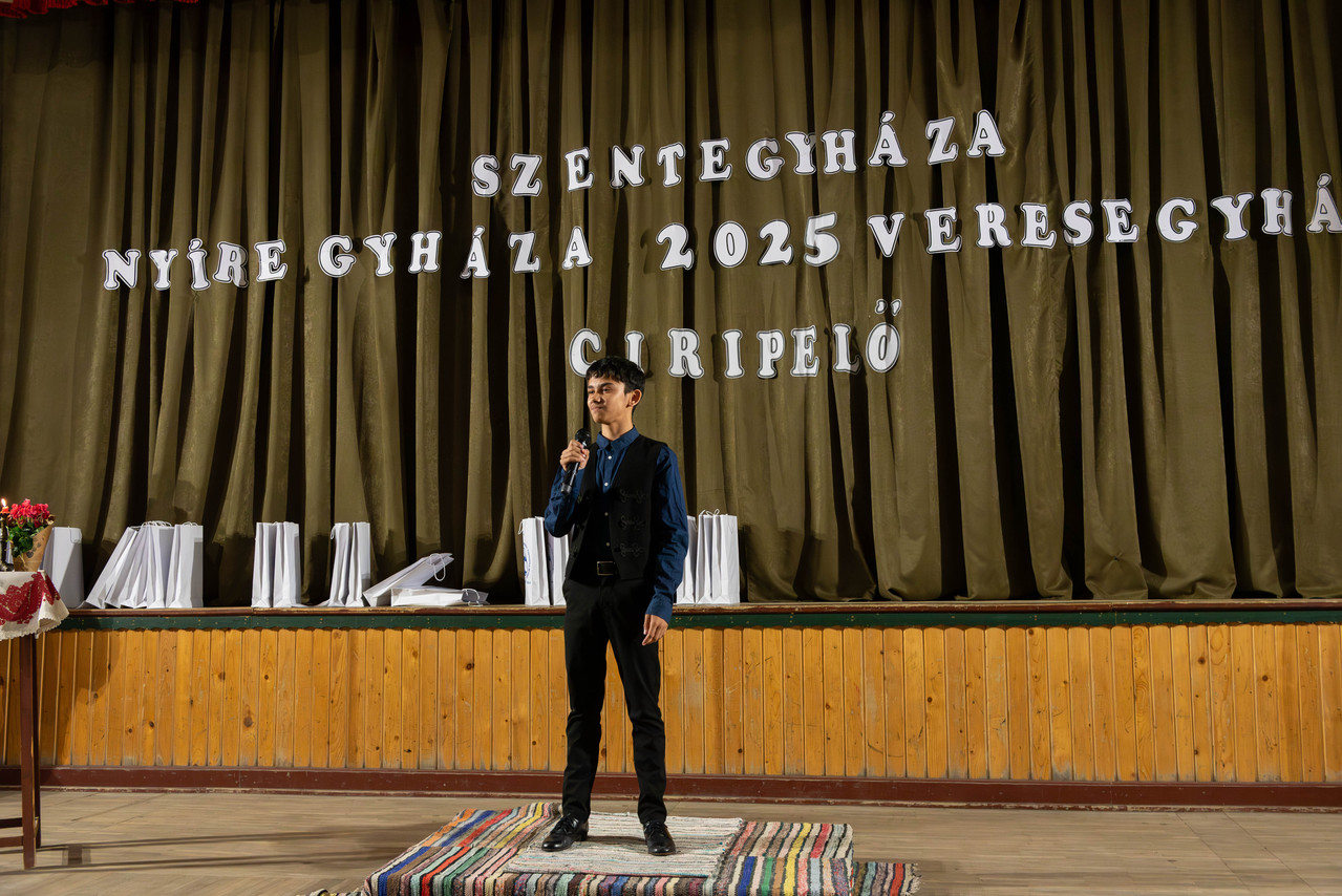 ERDE LY 202511 POQ8199FOTO CSUTKAI CSABA