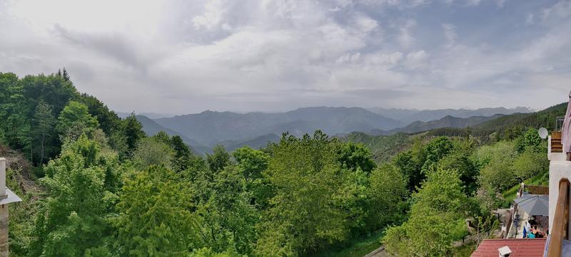 IMG_20190609_161009.jpg.1