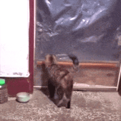 89.gif