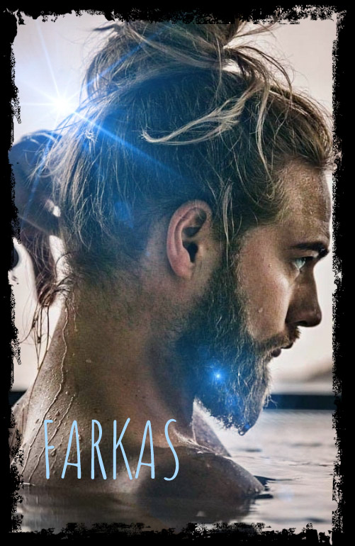 Immagine di Farkas