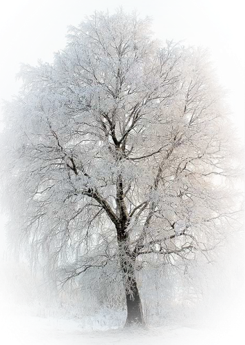 Siempre Libre & Glitters y Gifs Animados Nº339 - Página 5 Winter-Sketches-01-40