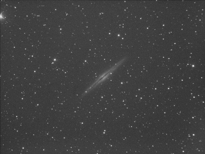 20161125 UGC1831 (NGC891) light-FILTER_Red-BINNI