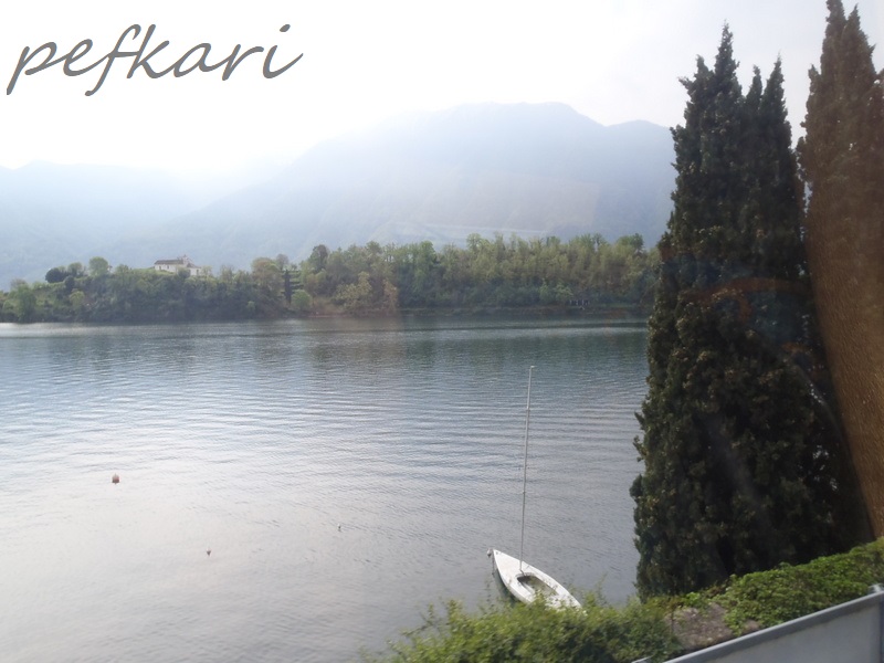 Slika