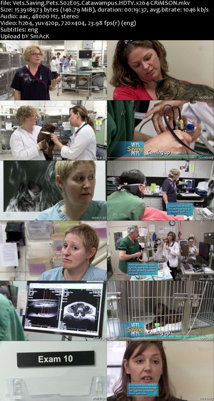 Vets Saving Pets S02E05 HDTV x264-CRiMSON