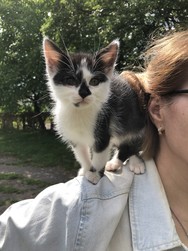 E24C6FCA-0B28-4897-8A68-E38AA1D3CA0D