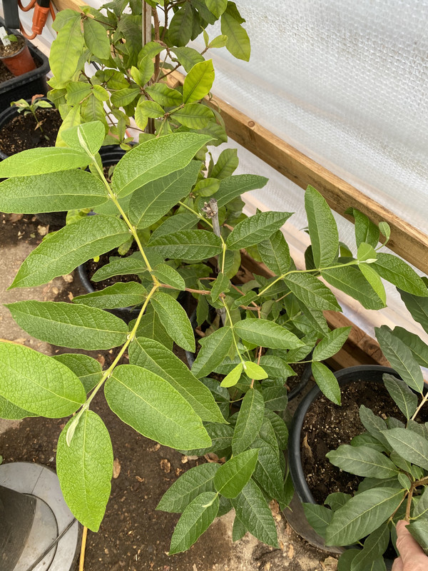 173E3D26-177C-4B0F-B5B1-4352551F4C8E