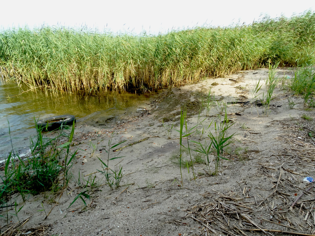 06.07d - DSC07356 (Czesio1)