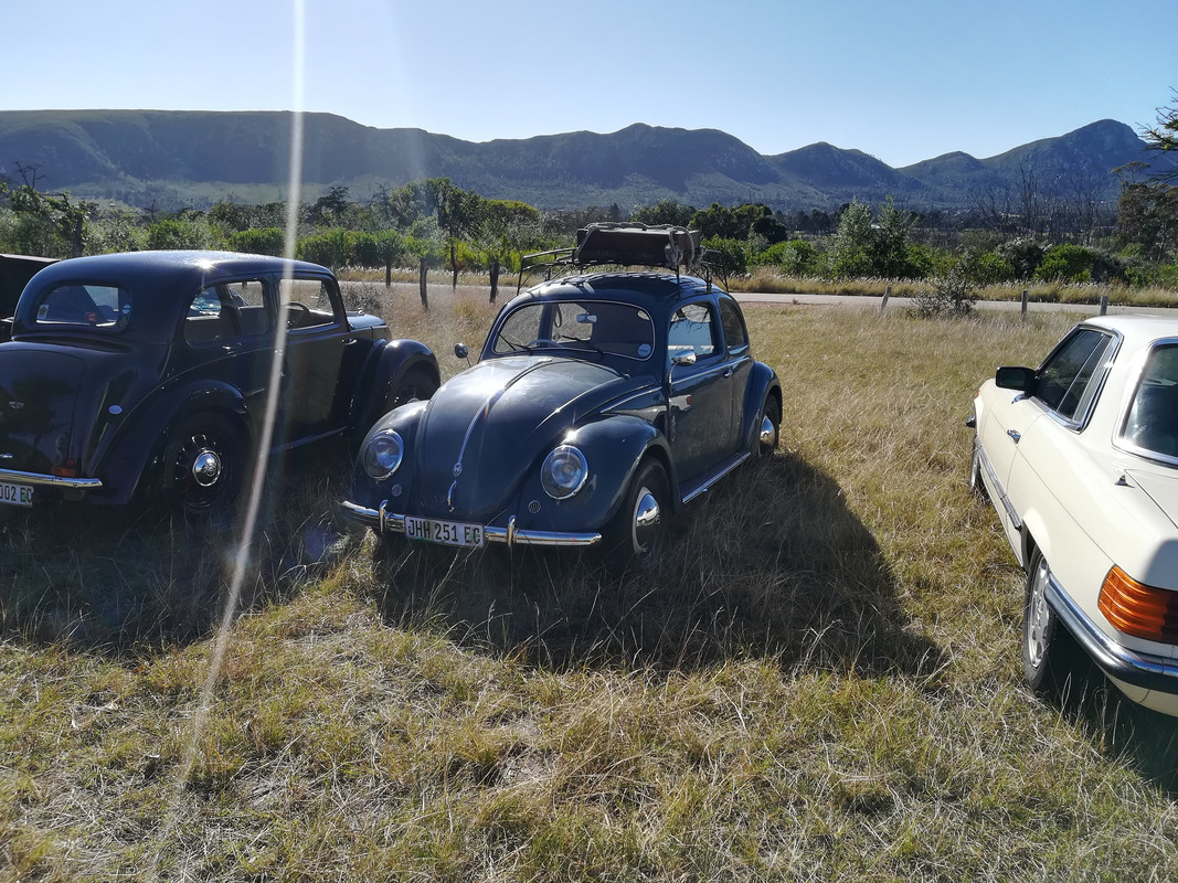 1952 split beetle outing (3)