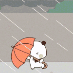 IMG-7027.gif