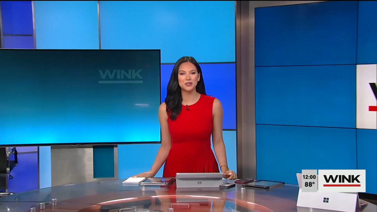 06.10 - 17.00.00 - The WINK Noon News. News..ts_snapshot_05.51.451