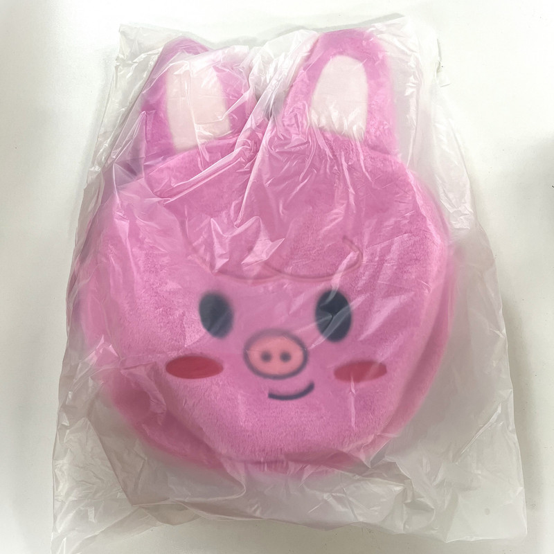 IN STOCK] SKZOO Everywhere All Around The World SKZOO FACE