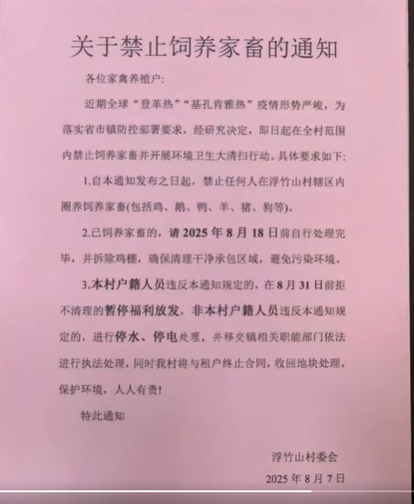 https://i.postimg.cc/B6MD4c2g/imige-9.jpg