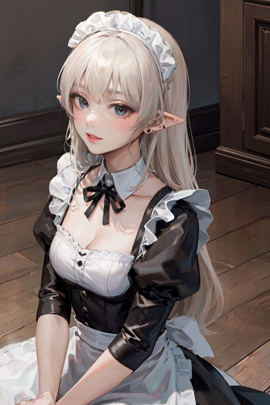 elf_maid_2D_029