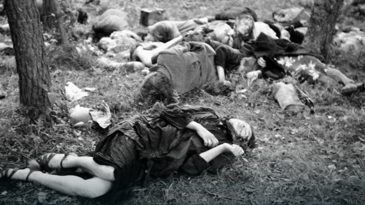 photo_2023-05-20_21-03-29 (2)