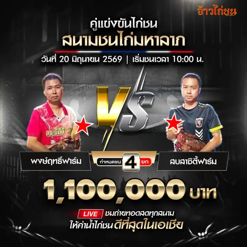 พงษ์ฤทธิ์ฟาร์ม พบ สบสาซิตี้ฟาร์ม โปรแกรมไก่ชน สนามชนไก่มหาลาภ 20 มิถุนายน