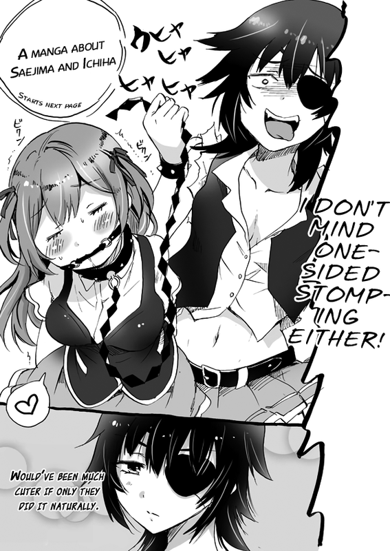 Valkyrie Drive - A Manga About Saejima and Ichih