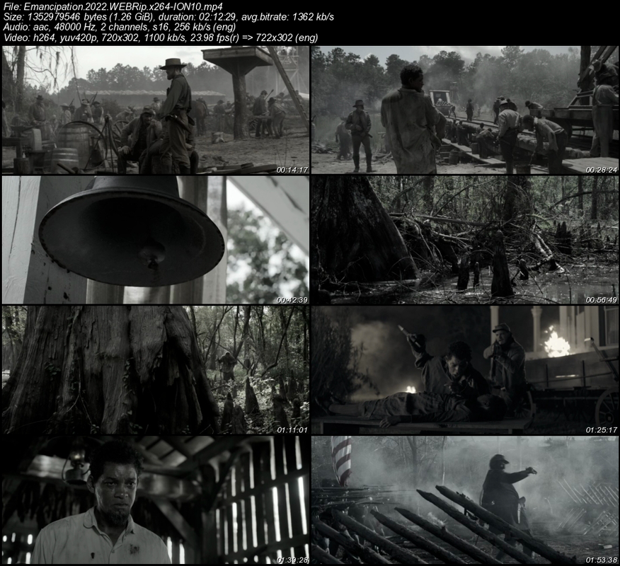 Emancipation-2022-WEBRip-x264-ION10.png