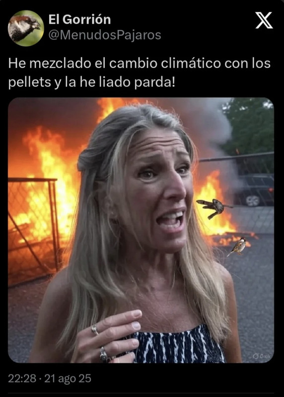 Screenshot-20250822-210904-Instagram.jpg