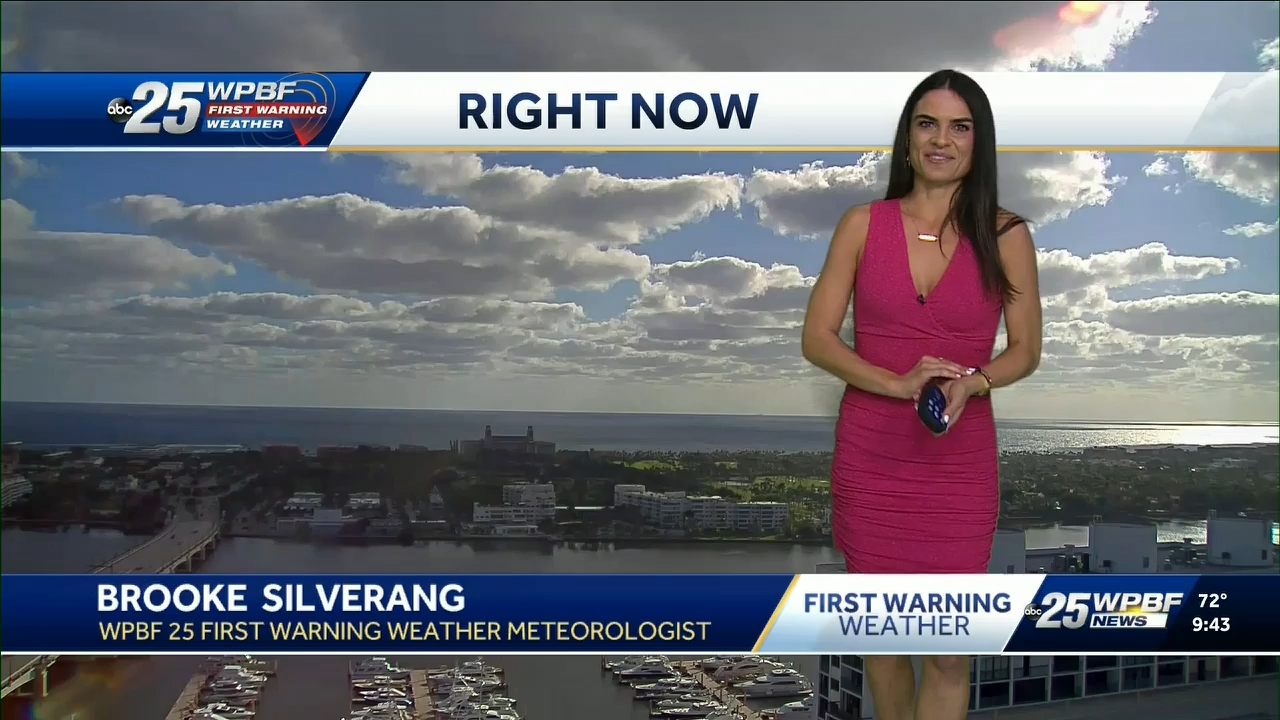 12.23 - 14.00.00 - WPBF 25 News at 9 00 AM..ts_snapshot_00.51.32.336
