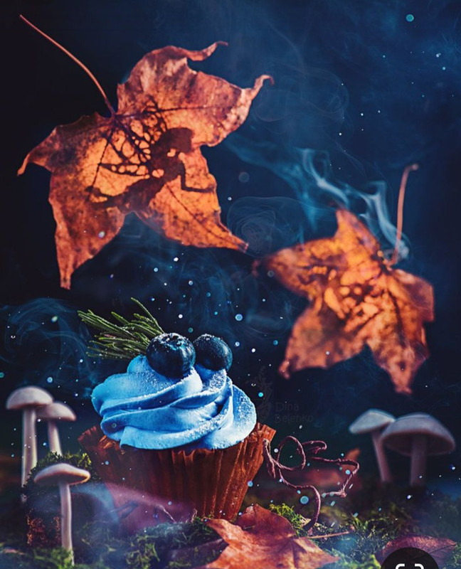 Screenshot_20231128_002020_Pinterest