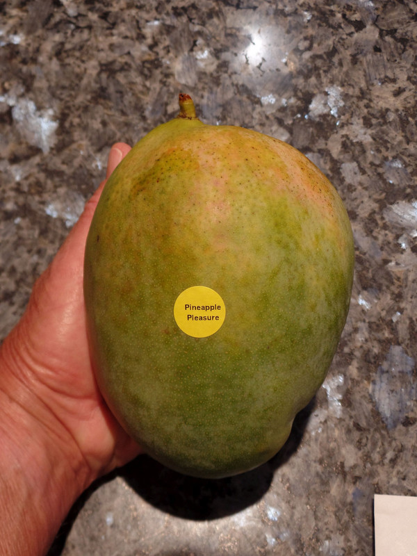 PineapplePleasureFruit