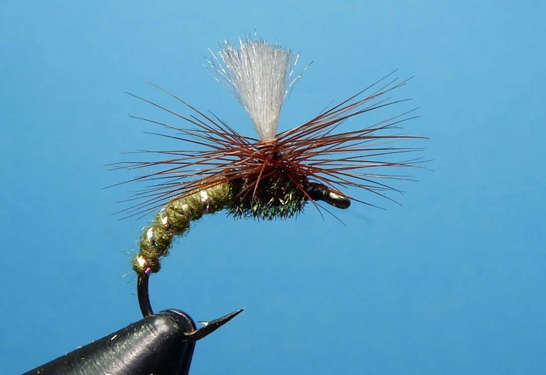 Klinkhammer-Olive-1080.jpg Klinkhammer-Olive-1080.jpg