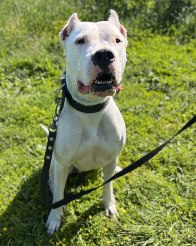 384E60F4-0792-41C4-94C8-3C0A9548D281