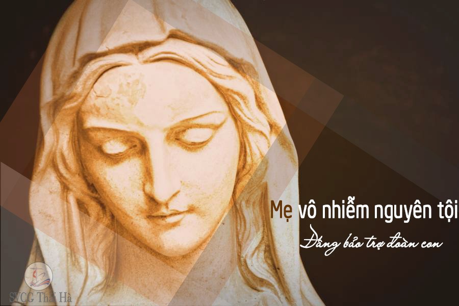 2018-12-07: Lễ Vọng Đức Mẹ Vô Nhiễm Nguyên Tội – Năm C