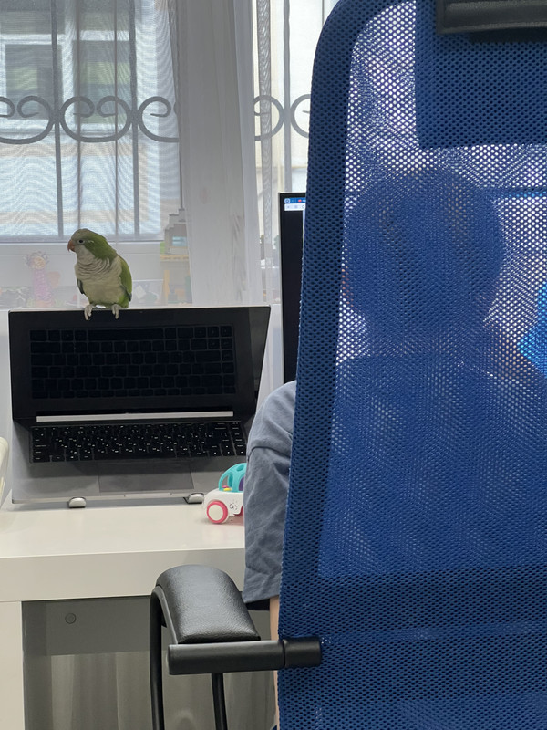 0462F658-C73C-47BC-8650-48004D823DF1