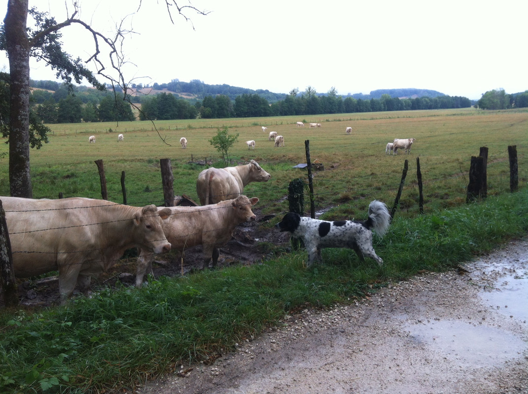 4856F8A3-84E1-495E-A60F-A0A87A64B2DB