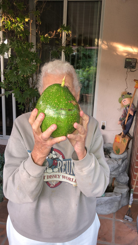 D47BFFBB-C6F5-4490-8287-49F673418241