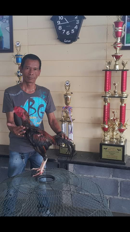 FB IMG 1779362034761