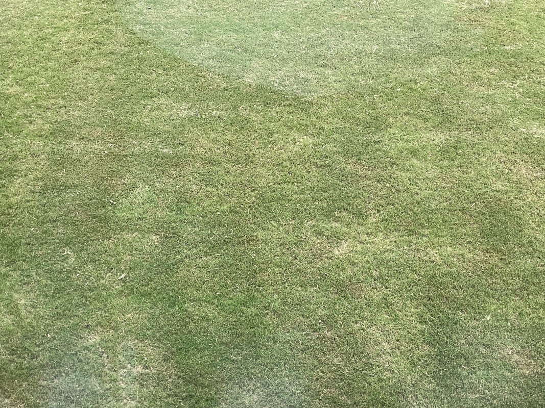 90669598-4C86-4BC5-8519-6C178CB9F9B9