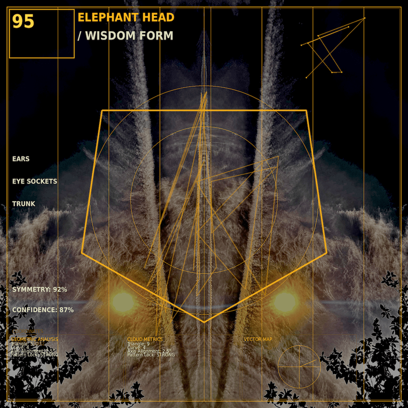 Elephant head