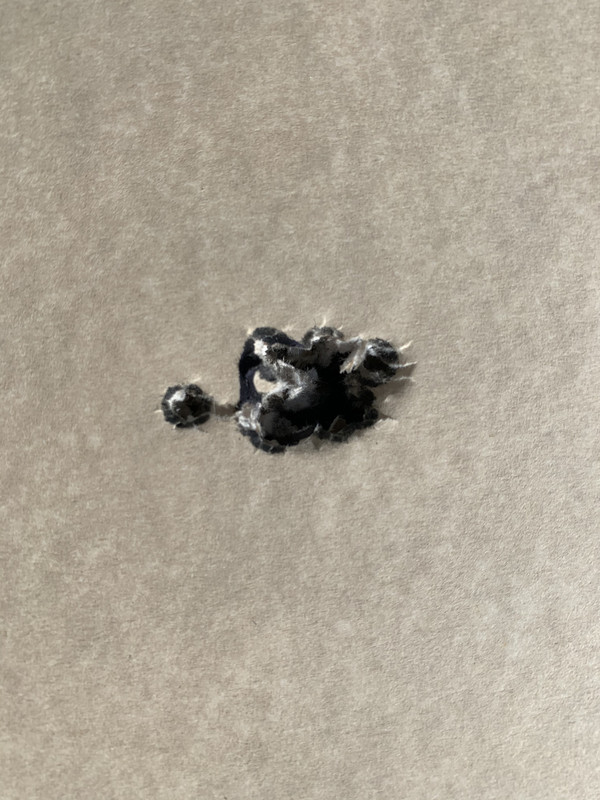 3391F3E7-A9D3-48D2-8597-9DEC74A65BF6