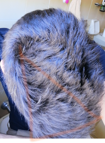 15. giugno 24. Luce della finestra addosso. Zona cerchiata per farvi capire che avevo nuovamente rec