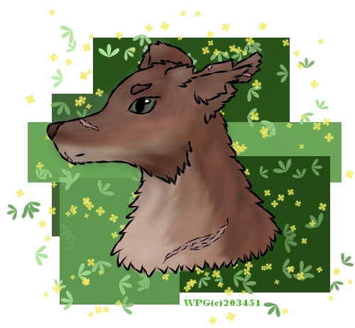 FE2F2CAC-8A72-4ECD-A9D2-8D8B8A512C5F