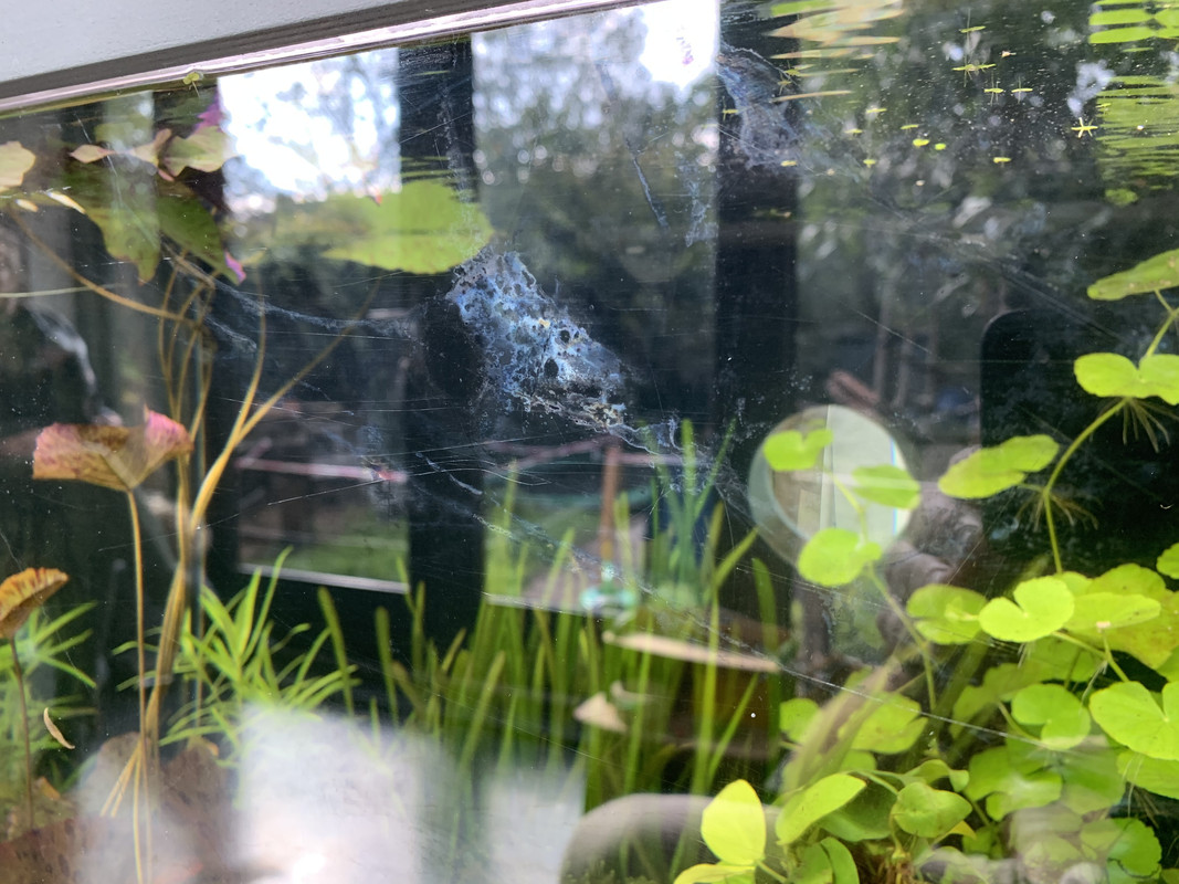 9B130116-80C5-43D7-BDB8-6485F3C3723C