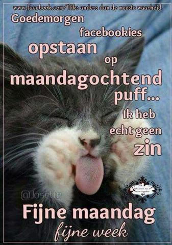 eb9fb270537616c70375a848e753aee5.jpg