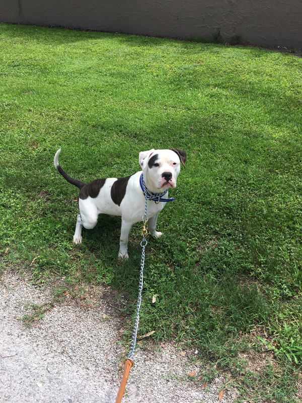 32950519-8B1E-49D0-BC9B-1DDD32F3856D