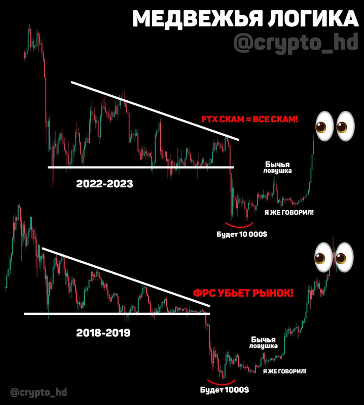 Медвежья логика