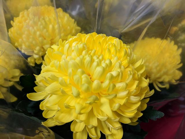 [Image: IMG-20190119-124256.jpg]