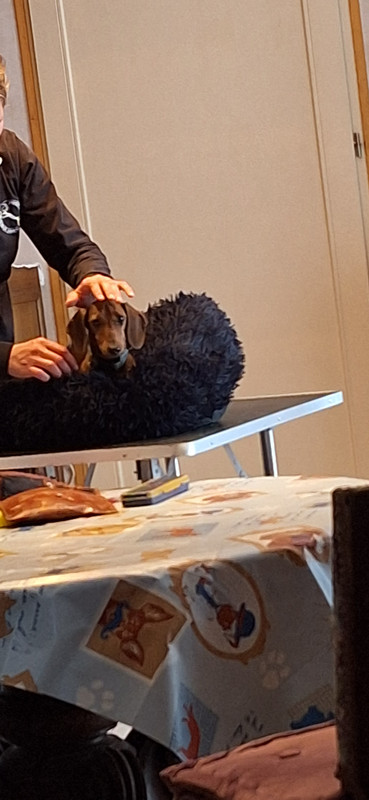 [Image: 20251002-181329.jpg]