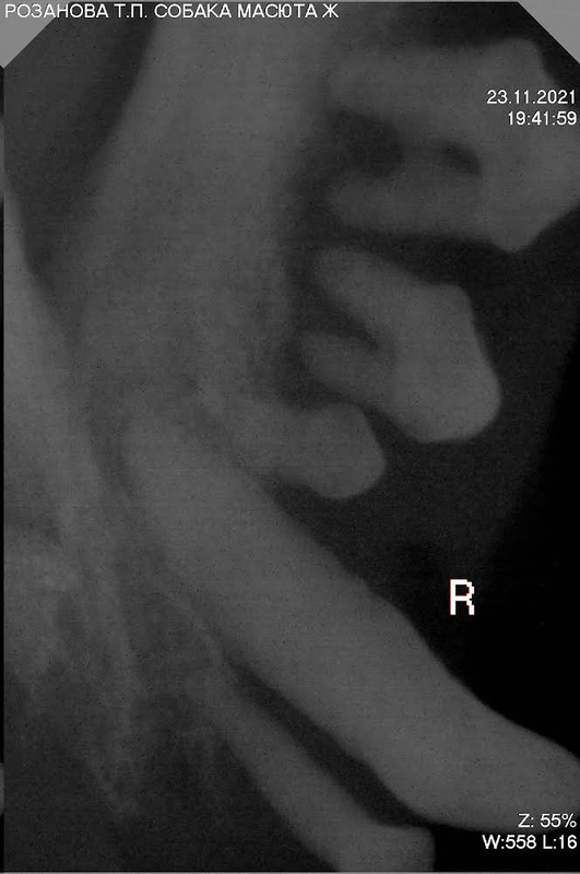 6D243FF9-6E57-47D1-A32B-01AF5E7248FD