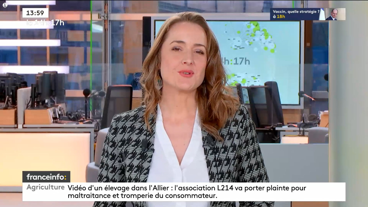 12.03 - 12.59.00 - Le 14h-17h. Au sommaire   Vrai ou fake. - francein....ts_snapshot_00.06.14.852