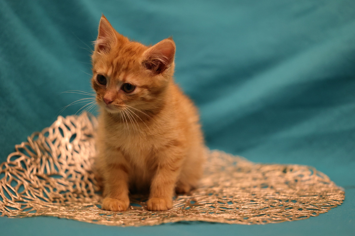 48E9EB0F-D009-47AA-AE7F-AEEF2860F988