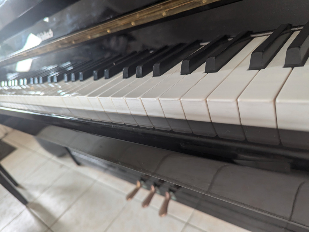 44c6bff0-6846-11ef-a7af-d9db0bd88e1d